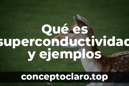 Qué es superconductividad y ejemplos