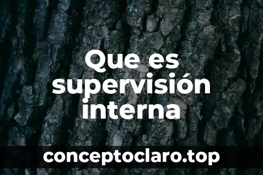 Analepsis interna homodiegética que es 5 Que es supervisión interna