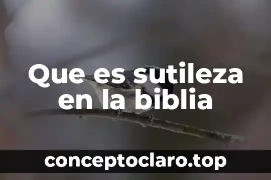 Que es sutileza en la biblia