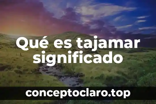 Significado de que es una pastilla termomagnetica 3 Qué es tajamar significado