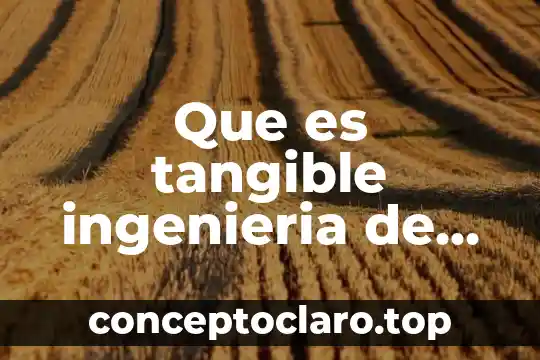 Que es tangible ingenieria de software