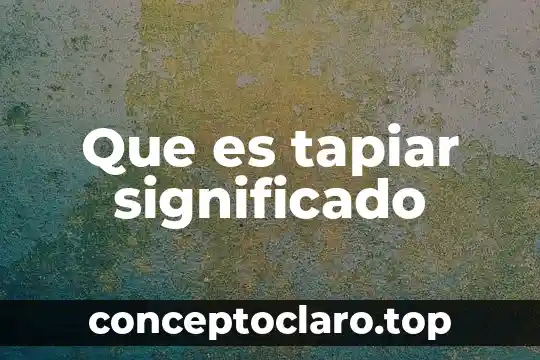 Que es el poder significado y concepto diapositivas 7 Que es tapiar significado