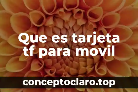Que es alias de la tarjeta liverpool 7 Que es tarjeta tf para movil