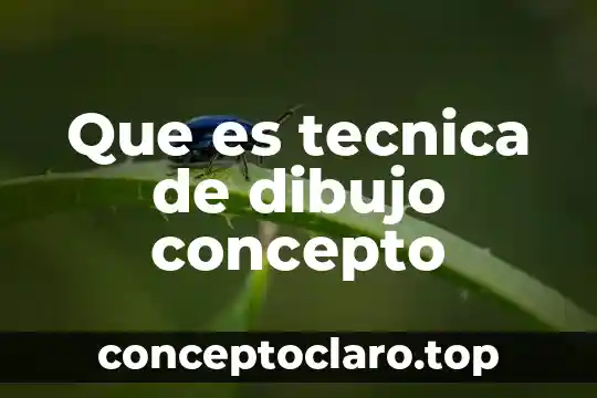 Que es tecnica de dibujo concepto