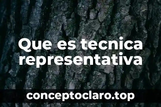 Que es tecnica representativa