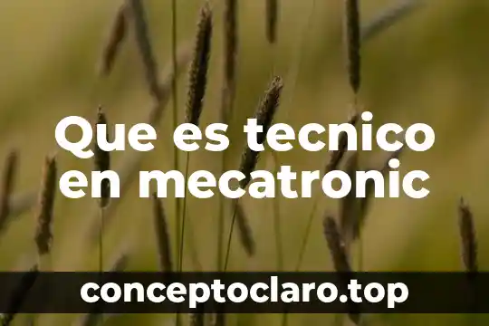 Que es un equipo tecnico 4 Que es tecnico en mecatronic