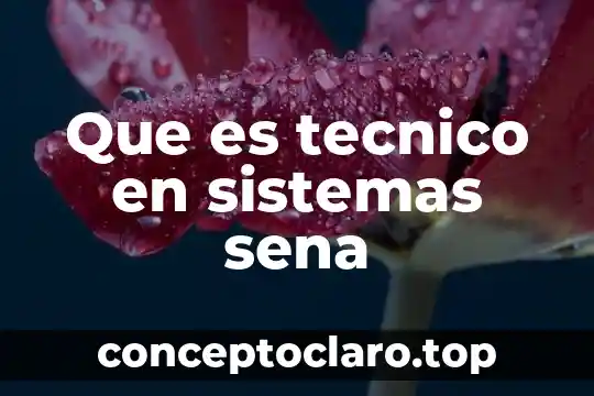 Que es un equipo tecnico 5 Que es tecnico en sistemas sena