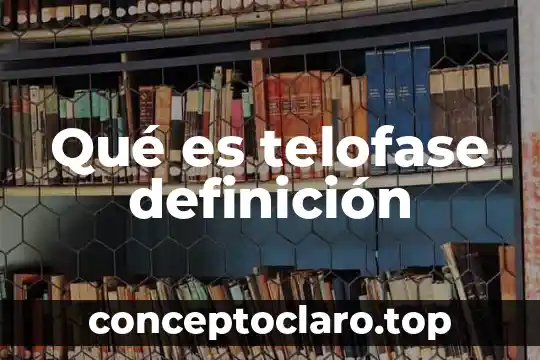 Qué es telofase definición