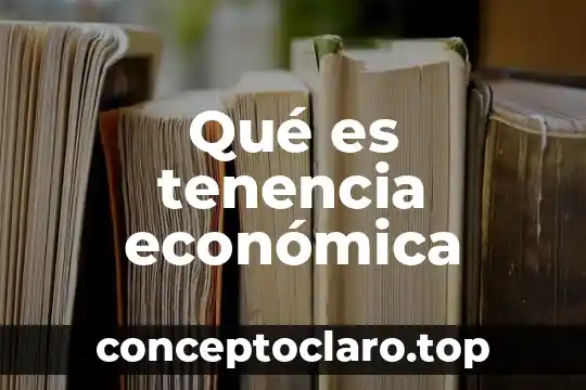 Qué es tenencia económica
