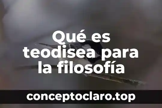 Que es la respetar la libertad cultural 5 Qué es teodisea para la filosofía