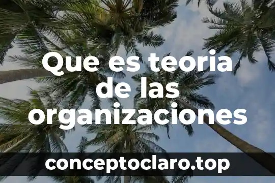 Que es teoria de las organizaciones