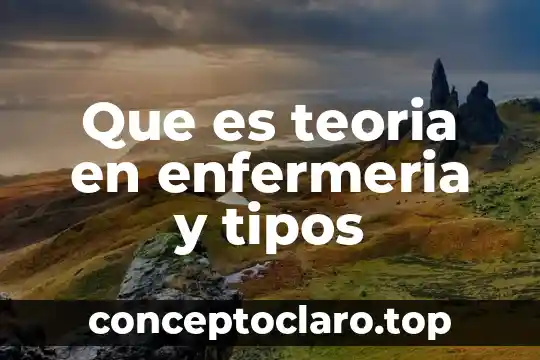 Que es teoria en enfermeria y tipos