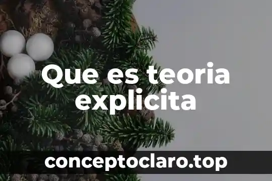 Que es teoria explicita