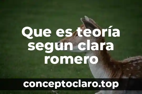 Qué es la teoría cognitiva 6 Que es teoría segun clara romero