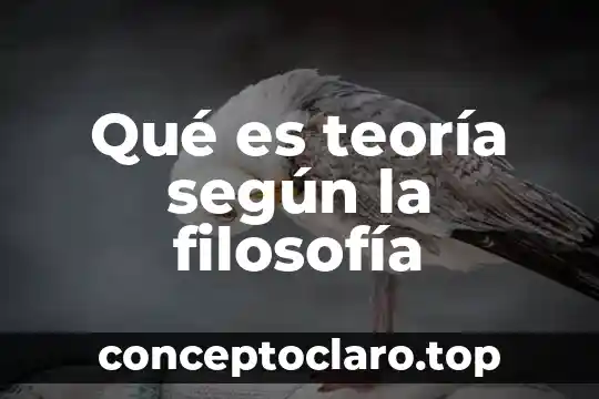 Qué es teoría según la filosofía