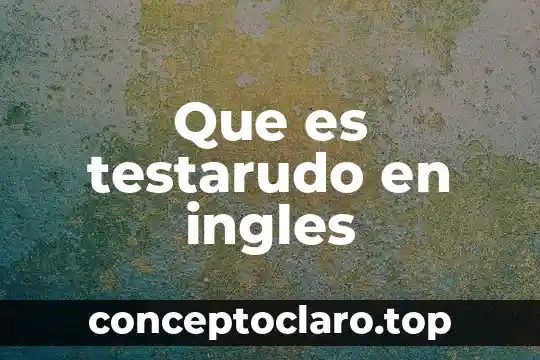 Qué es auxiliar did en inglés y español 4 Que es testarudo en ingles