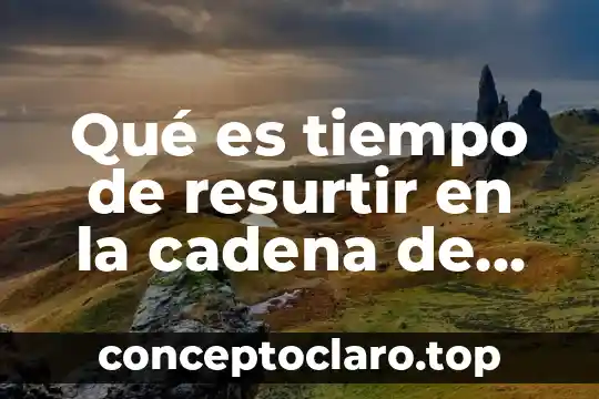 Que es tiempo de auge 4 Qu茅 es tiempo de resurtir en la cadena de valor