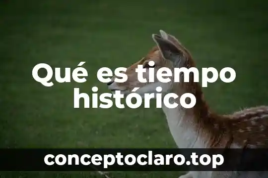 Que es tiempo de auge 3 Qu茅 es tiempo hist贸rico