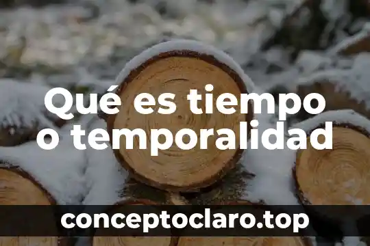 Que es tiempo de auge 6 Qu茅 es tiempo o temporalidad