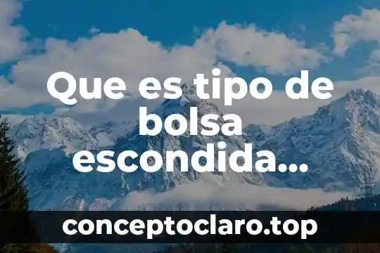Que es sesa y que tipo de servicios brinda 5 Que es tipo de bolsa escondida chalecos de tela