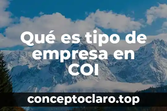 Qué es tipo de empresa en COI