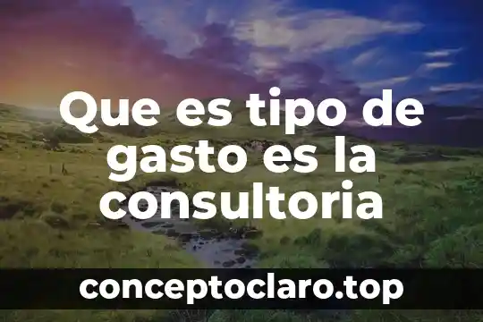 Que es consultoria de servicios juridicos 3 Que es tipo de gasto es la consultoria