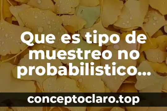 Que es tipo de muestreo no probabilistico de tipo intencional
