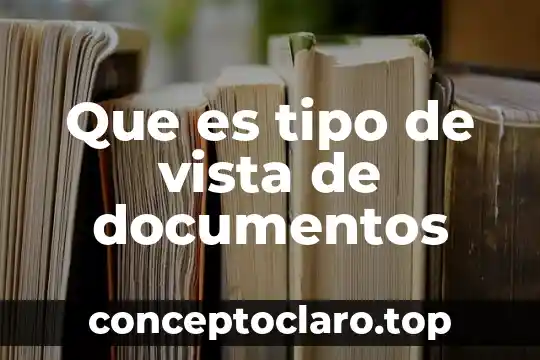 Que es tipo de vista de documentos