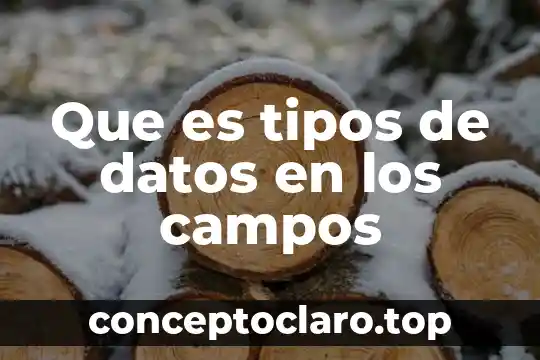 Que es tipos de datos en los campos