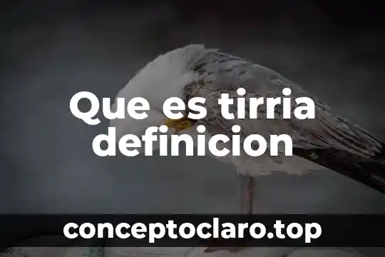 Definicion de hidraulica que es significado 8 Que es tirria definicion