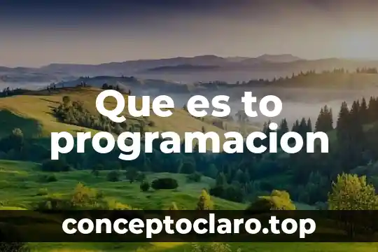 Que es to programacion