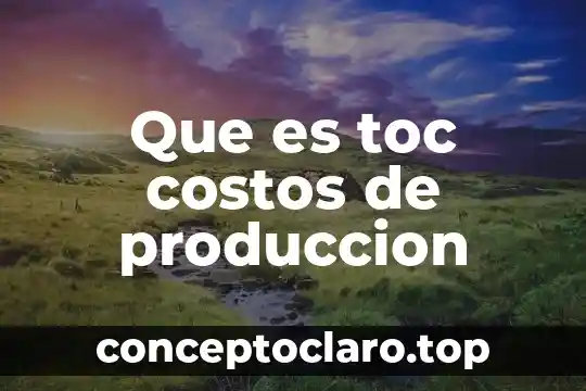 Que es toc costos de produccion