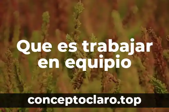 Qué es trabajar de telesqui 3 Que es trabajar en equipio