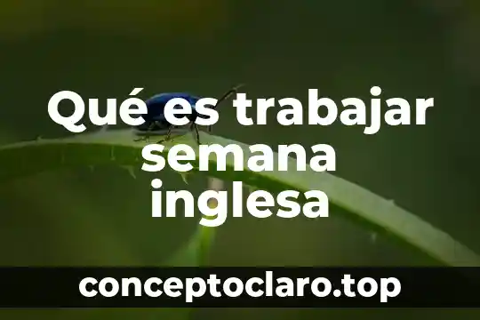 Qué es trabajar de telesqui 5 Qué es trabajar semana inglesa