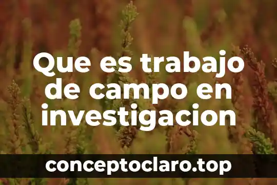 Simplificacion del trabajo que es 4 Que es trabajo de campo en investigacion