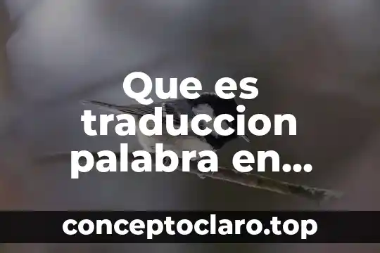 Por que es necesario un gerente general 7 Que es traduccion palabra en ingles