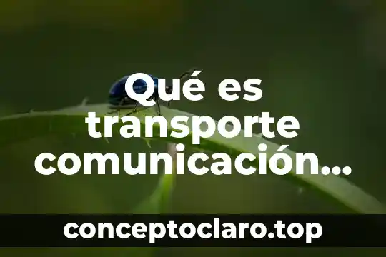 Qué es transporte comunicación y diferencia con celular
