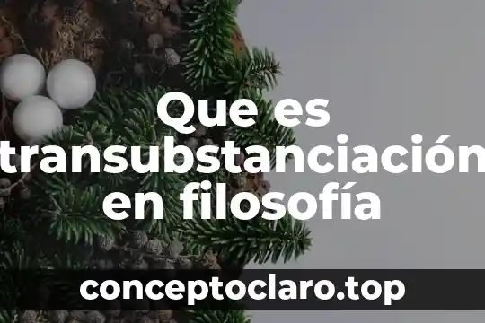 Que es transubstanciación en filosofía