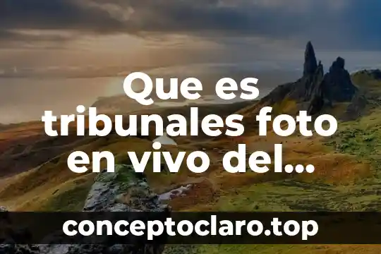Que es tribunales foto en vivo del diccionario