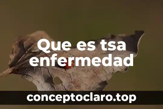 Enfermedad estomacal que es 5 Que es tsa enfermedad