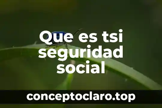 Que es tsi seguridad social