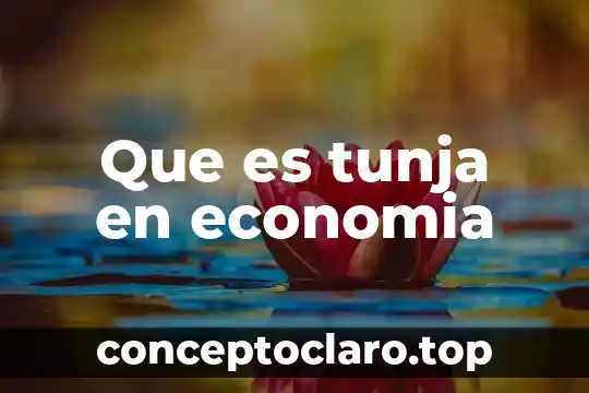 Que es economia en logistica 3 Que es tunja en economia