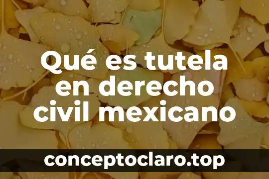 Qué es tutela en derecho civil mexicano