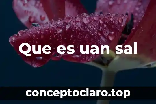 Que es uan sal