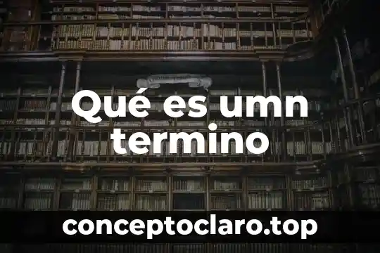 Qué es un recién nacido término 4 Qué es umn termino