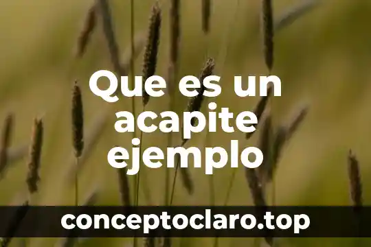 Que es un acapite ejemplo