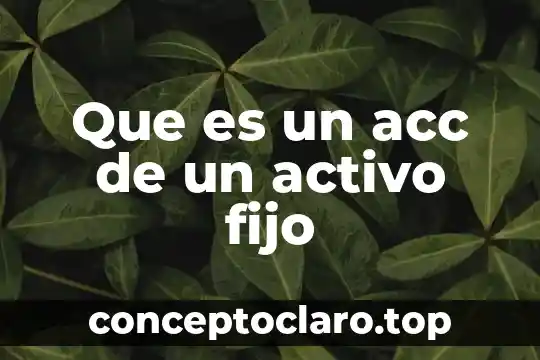Que es un acc de un activo fijo