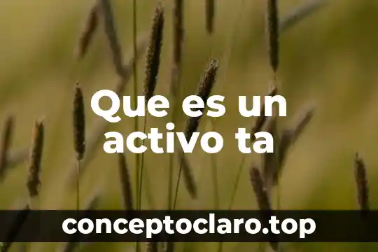 Que es acapital activo 8 Que es un activo ta