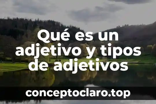 Qué es un adjetivo y tipos de adjetivos