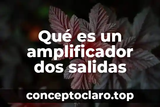 Que es libro de entradas y salidas 5 Qué es un amplificador dos salidas